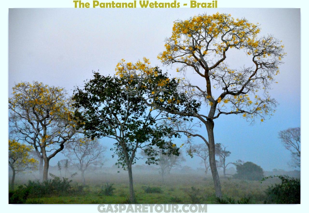 Dom Bosco Hostel Cuiaba (Mato Grosso)